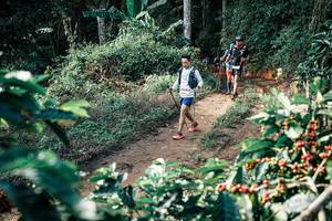 BIB: 
                            <button type="button" onclick="openModal(25855209)" class="btn btn-primary btn-sm float-right btn-popup" data-toggle="modal" data-target=".modal-high-quality">
                        <i class="fas fa-shopping-cart"></i> Add to Cart
                    </button>
                                            <button type="button" onclick="isThisMe(25855209, true)" class="btn btn-success btn-sm float-right btn-popup btn-isme hidden" data-toggle="tooltip" data-placement="bottom" title="นี่คือรูปของคุณใช่ไหม คลิกที่นี่เพื่อเอาเข้าอัลบั้ม">
                        <i class="fas fa-plus"></i> Add to album
                    </button>
                    <button type="button" onclick="isThisMe(25855209, false)" class="btn btn-warning btn-sm float-right btn-popup btn-isnotme hidden">
                        <i class="fas fa-ban"></i> Remove from album
                    </button>